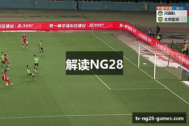 解读NG28